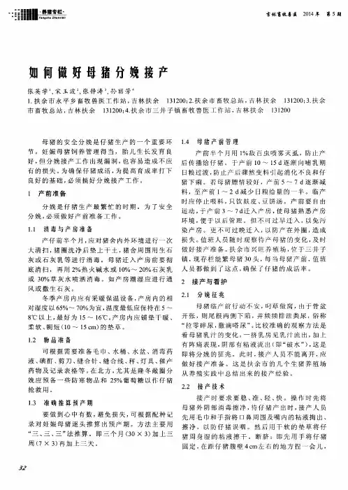 如何做好母猪分娩接产