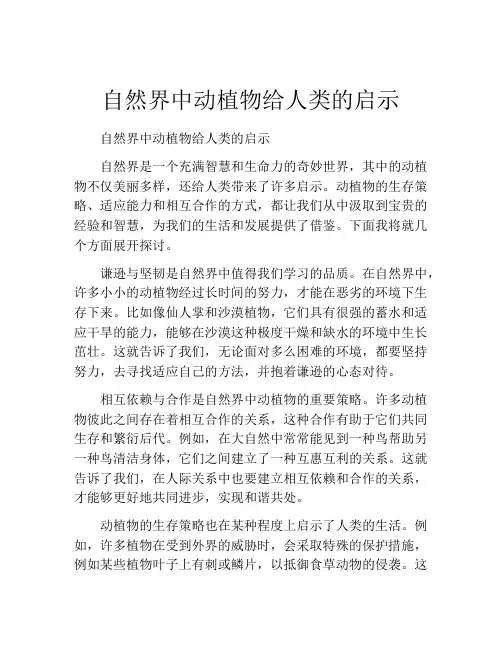 自然界中动植物给人类的启示