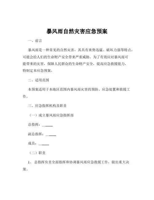 暴风雨自然灾害应急预案