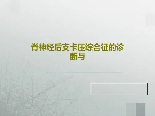 脊神经后支卡压综合征的诊断与共36页
