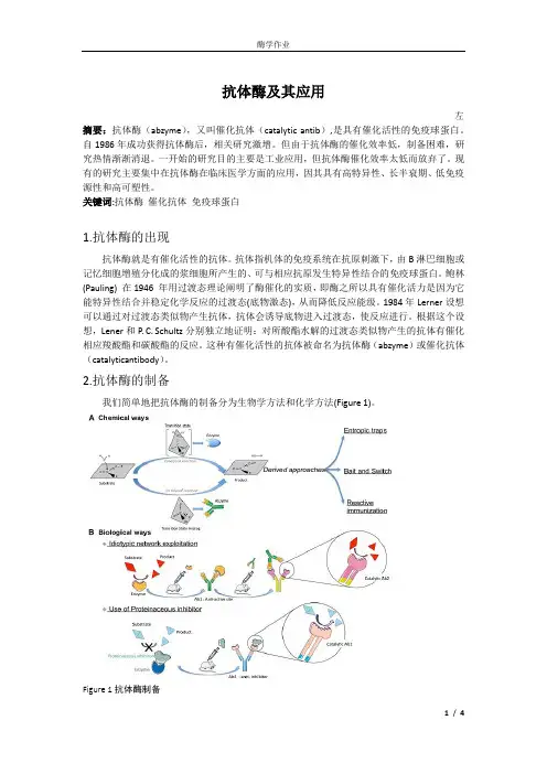 抗体酶及其应用2016年
