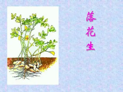语文人教五年级上册人教版小学语文五年级上册第四单元第15课《落花生》课件