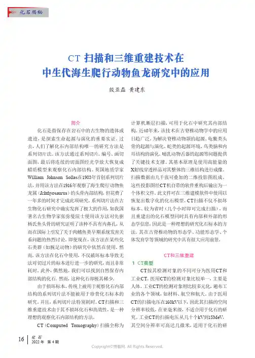 CT扫描和三维重建技术在中生代海生爬