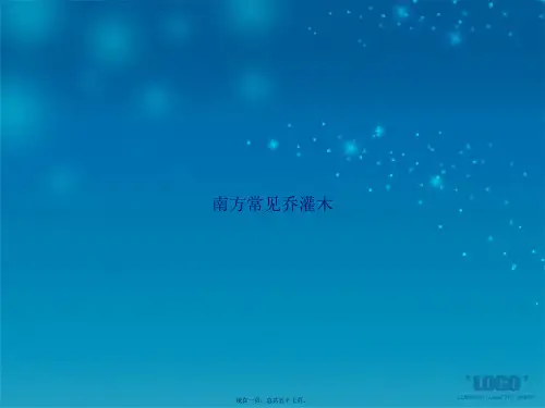 南方常见乔灌木2讲课文档