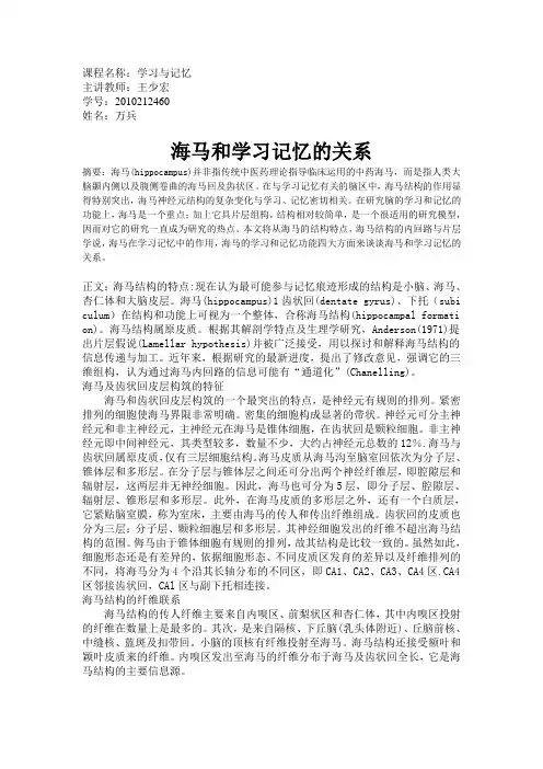 海马和学习记忆的关系