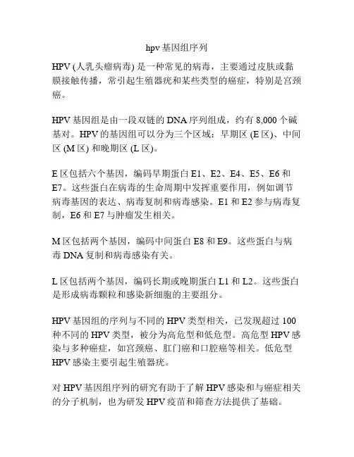 hpv基因组序列