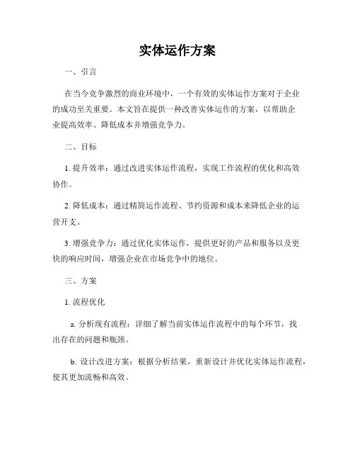 实体运作方案
