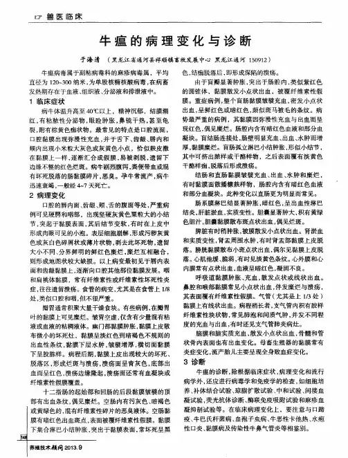 牛瘟的病理变化与诊断