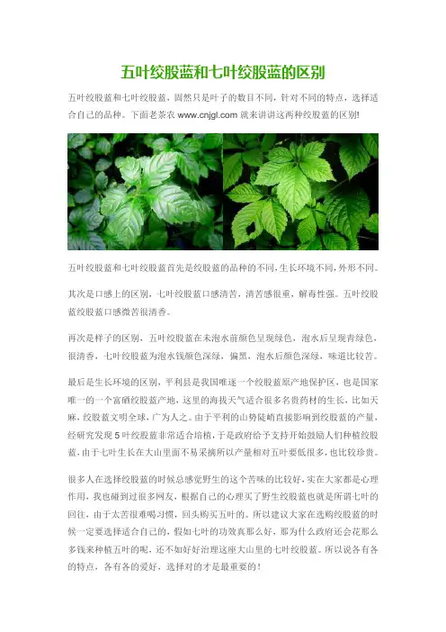 五叶绞股蓝和七叶绞股蓝的区别