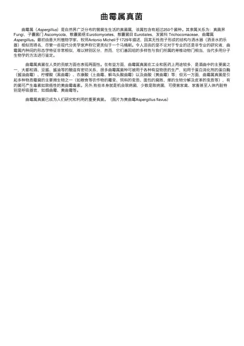 曲霉属真菌——精选推荐
