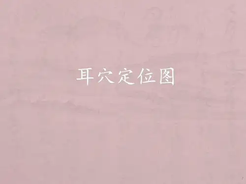 耳穴定位图与作用ppt课件