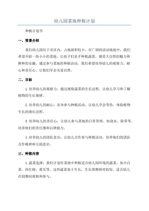 幼儿园菜地种植计划