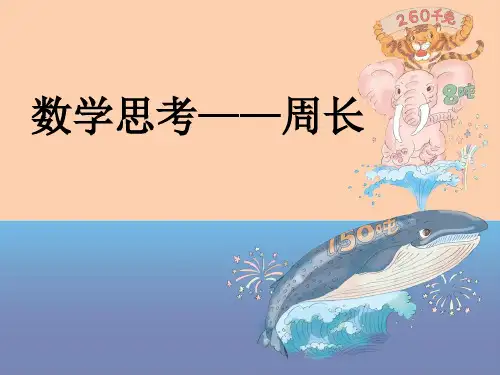 数学思考：不规则图形的周长