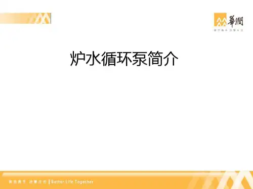 炉水循环泵简介