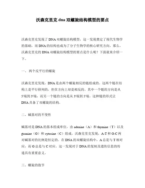 沃森克里克dna双螺旋结构模型的要点
