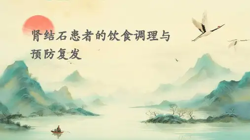 肾结石患者的饮食调理与预防复发课件
