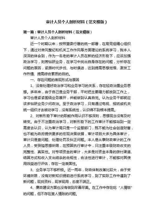 审计人员个人剖析材料（范文模版）