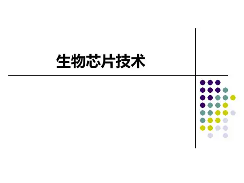 生物芯片技术77222-PPT课件