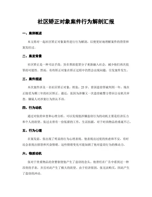 社区矫正对象案件行为解剖汇报