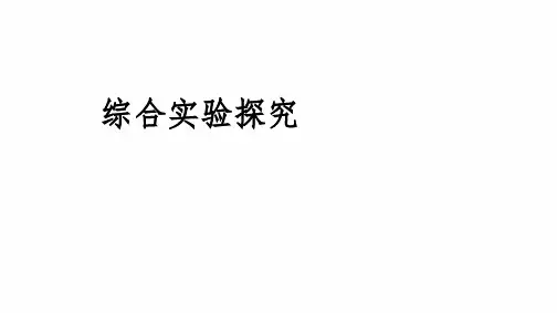 2024届高三化学高考备考一轮复习:综合实验探究课件