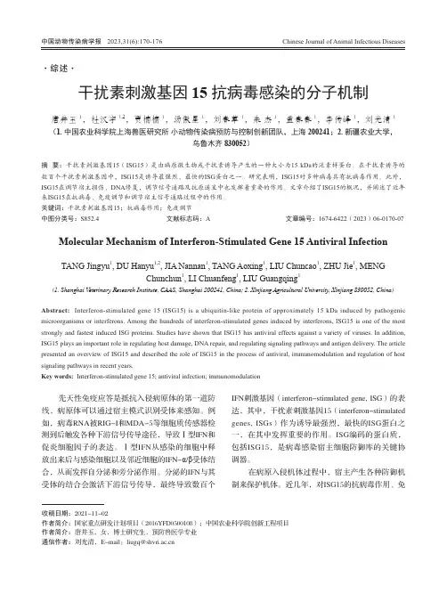 干扰素刺激基因15抗病毒感染的分子机制