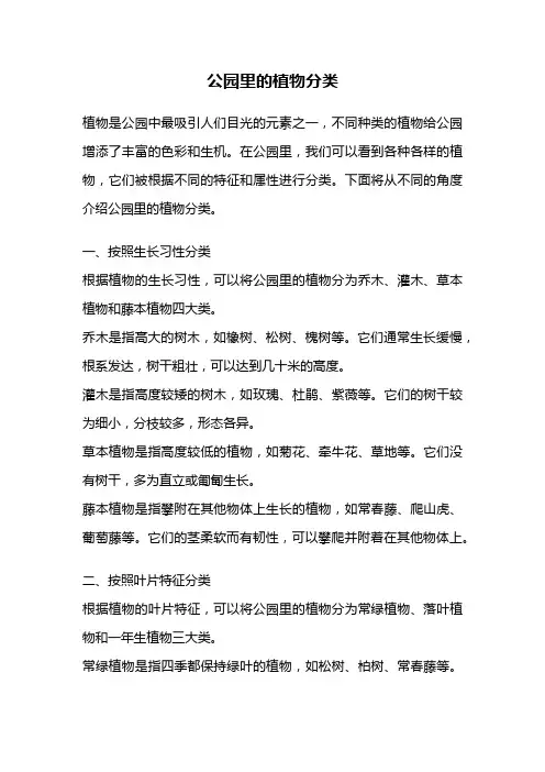 公园里的植物分类