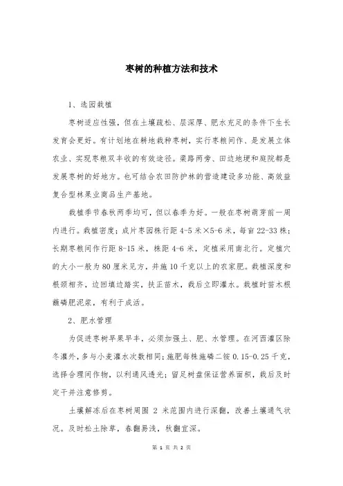 枣树的种植方法和技术