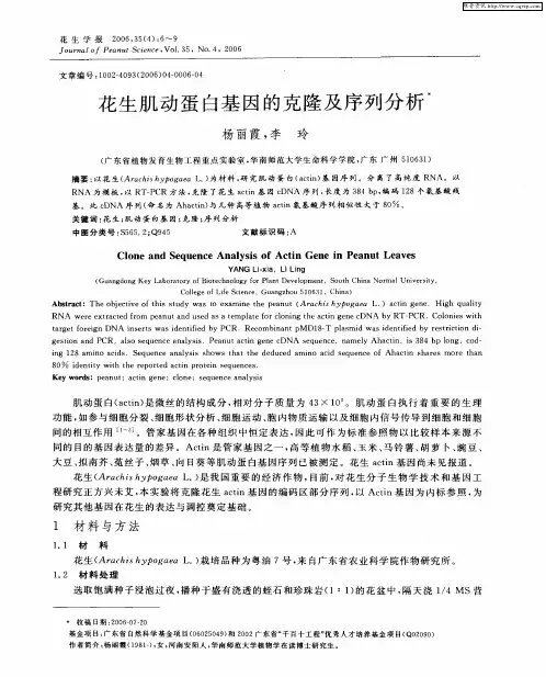 花生肌动蛋白基因的克隆及序列分析