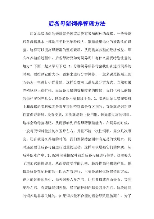 后备母猪饲养管理方法