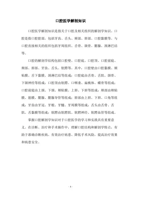 口腔医学解剖知识