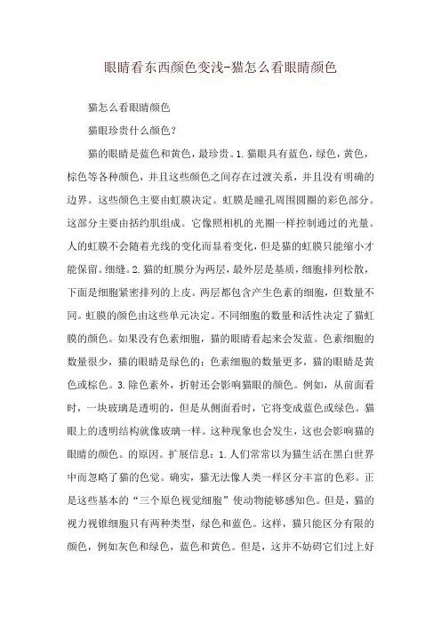 眼睛看东西颜色变浅-猫怎么看眼睛颜色