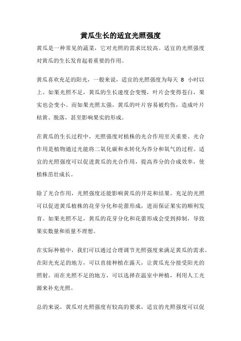 黄瓜生长的适宜光照强度