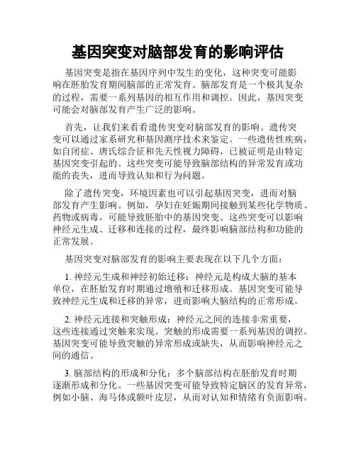 基因突变对脑部发育的影响评估