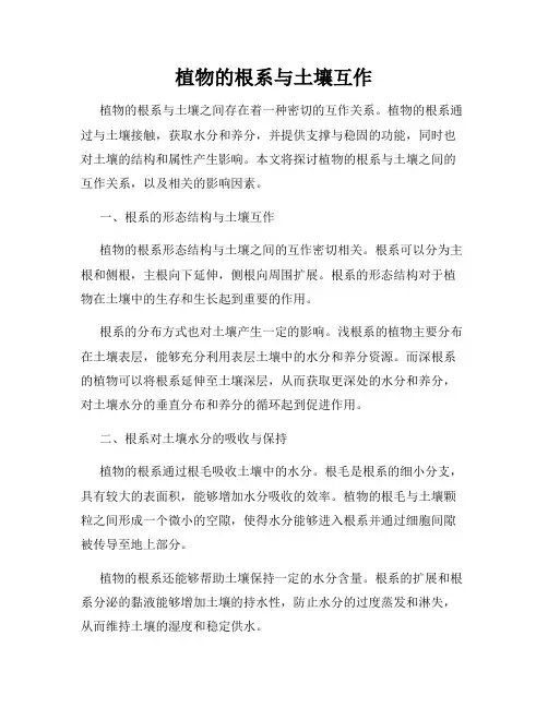 植物的根系与土壤互作