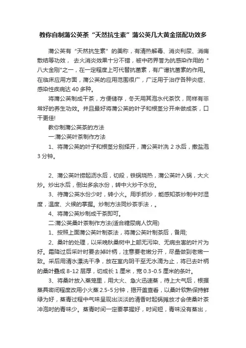 教你自制蒲公英茶“天然抗生素”蒲公英几大黄金搭配功效多
