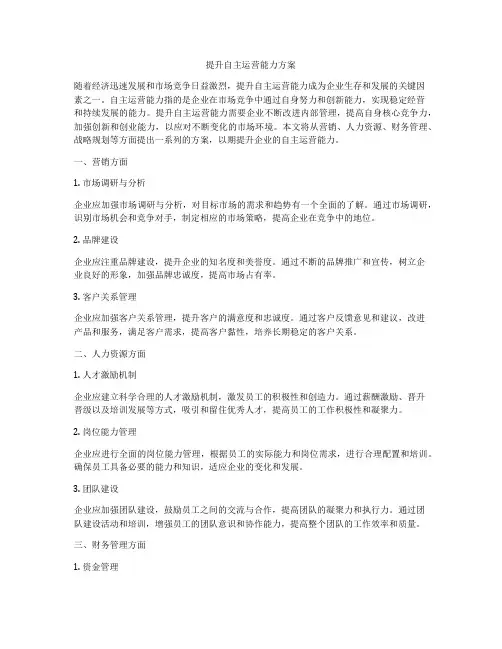 提升自主运营能力方案