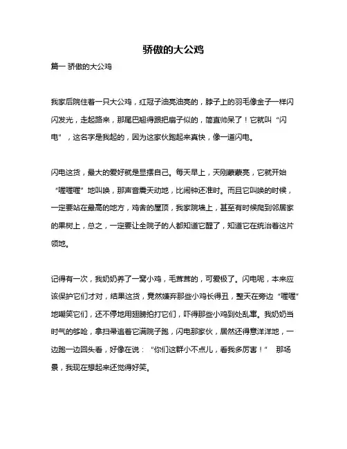 作文《骄傲的大公鸡》