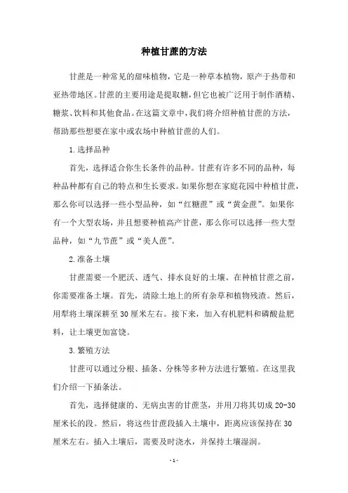 种植甘蔗的方法