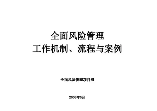 全面风险管理工作 流程 2015