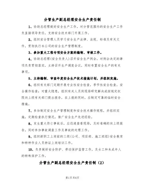 分管生产副总经理安全生产责任制（5篇）