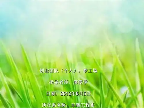 大学生创业大赛商业策划书(PPT 48张)