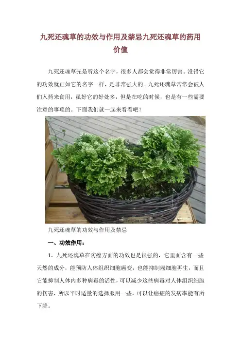 九死还魂草的功效与作用及禁忌 九死还魂草的药用价值