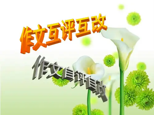 作文互评互改自评自改ppt课件