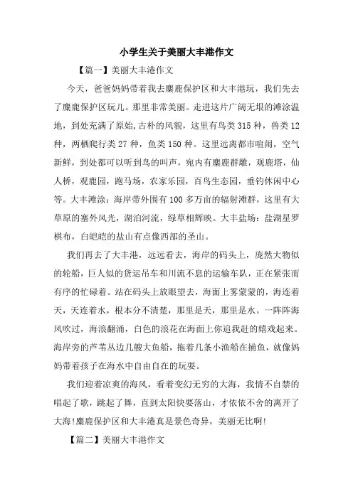 最新小学生关于美丽大丰港作文