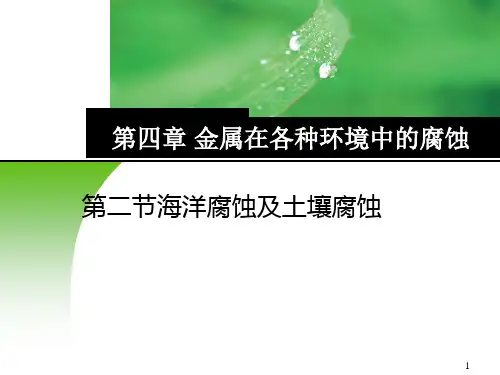 海洋腐蚀及土壤腐蚀 PPT材料在各个环境的腐蚀