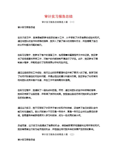 审计实习报告总结3篇