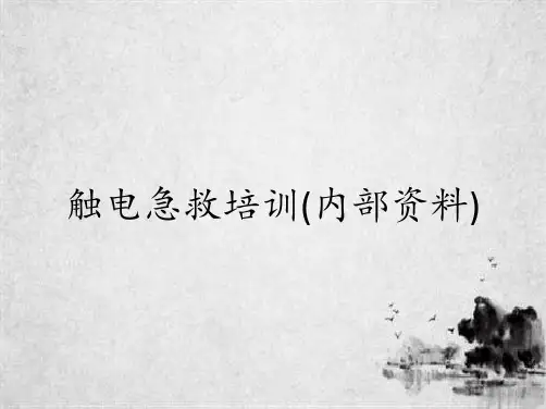 触电急救培训(内部资料)