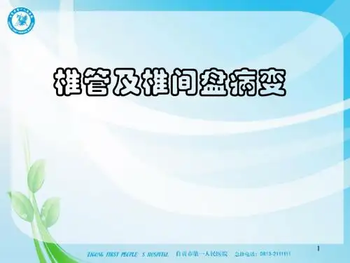 脊柱及脊髓影像学2
