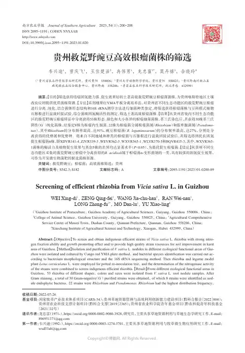 贵州救荒野豌豆高效根瘤菌株的筛选