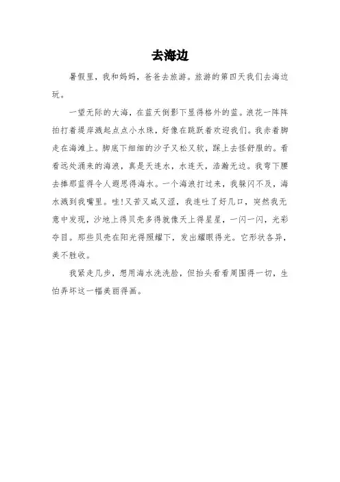 一年级《去海边》满分作文3篇